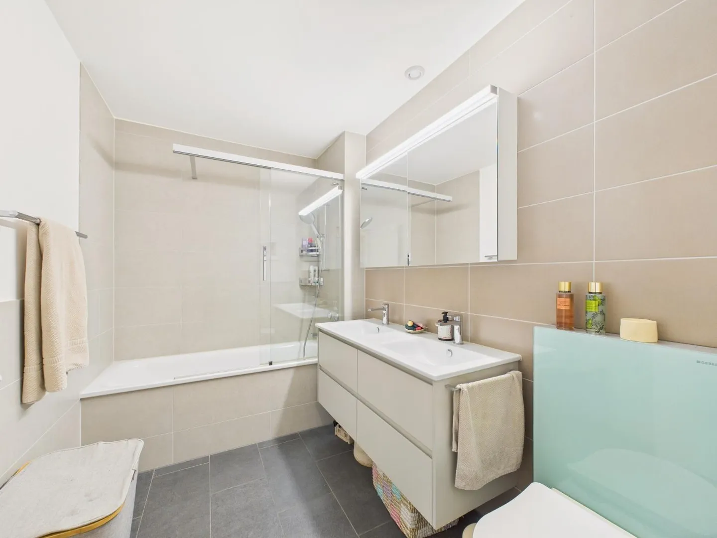 Living above Lake Zurich: with mountain and lake view in Feldmeilen - Photo 7 of 10