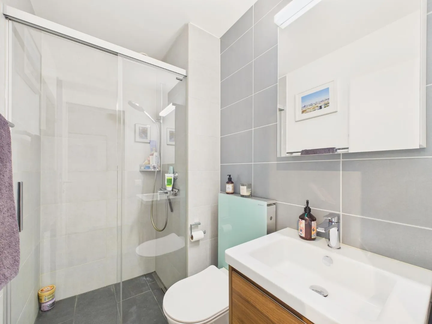 Living above Lake Zurich: with mountain and lake view in Feldmeilen - Photo 9 of 10