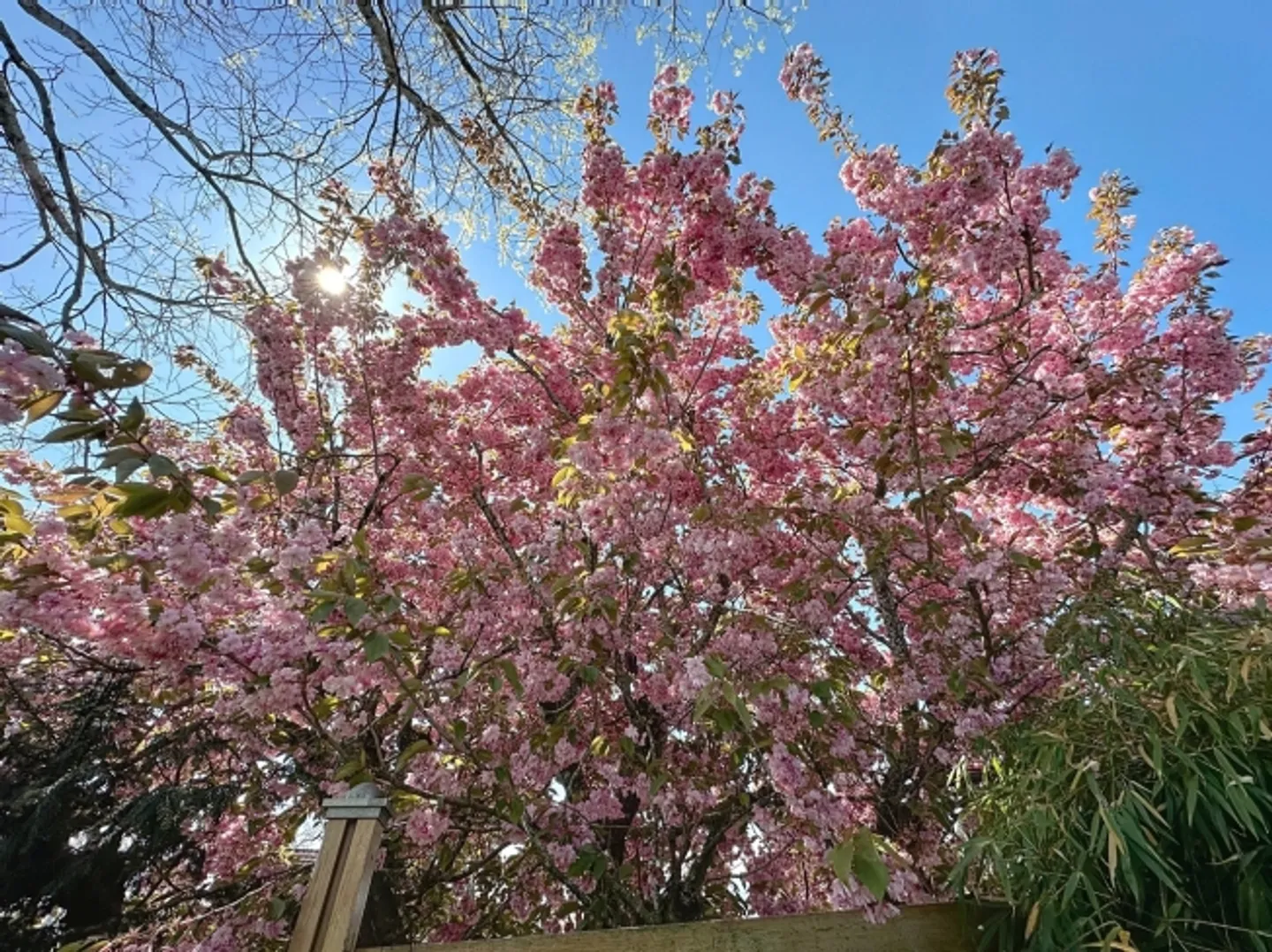«Hervorragende 7,5-Zimmer-Villa mit Studio in der Nähe der Riviera» - Foto 2 von 13