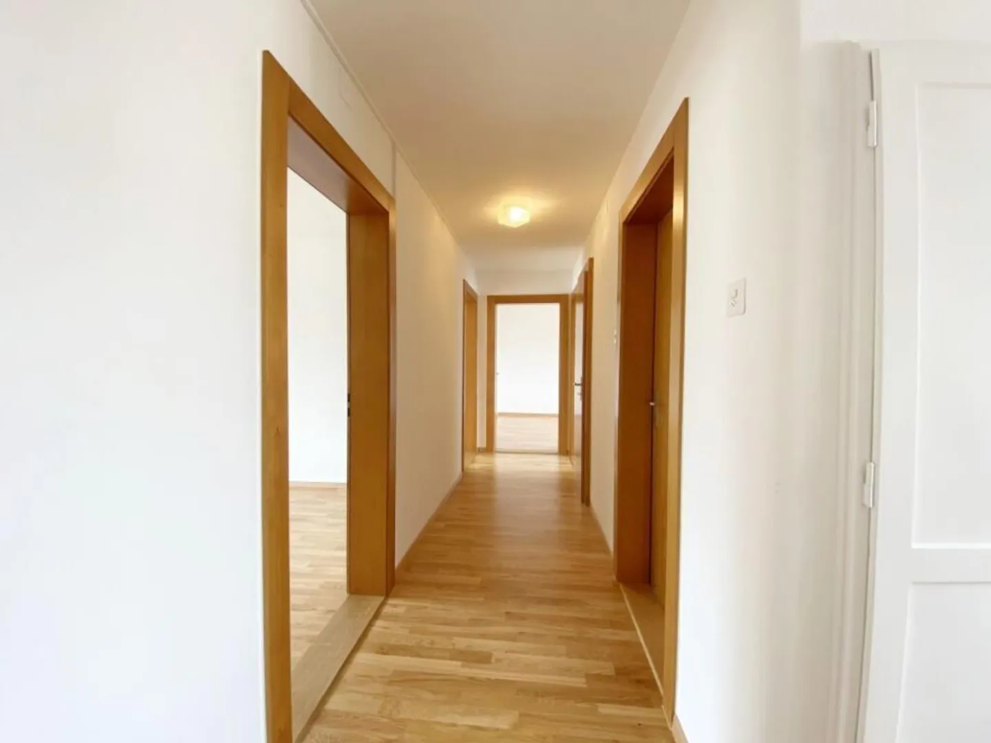 Central and bright apartment in the Tribschen district - Photo 2 of 9