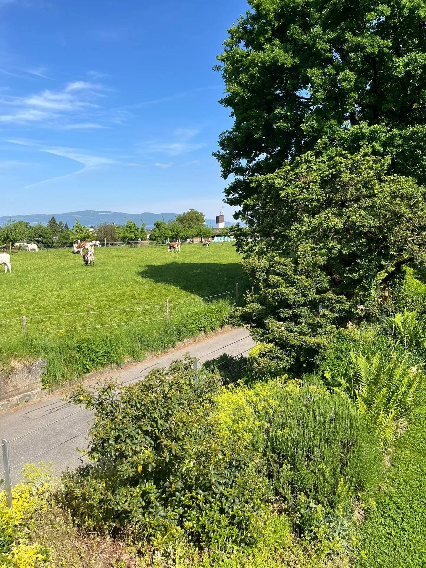 Traumhaftes Einfamilienhaus in Ruhiger Lage - Foto 4 von 32