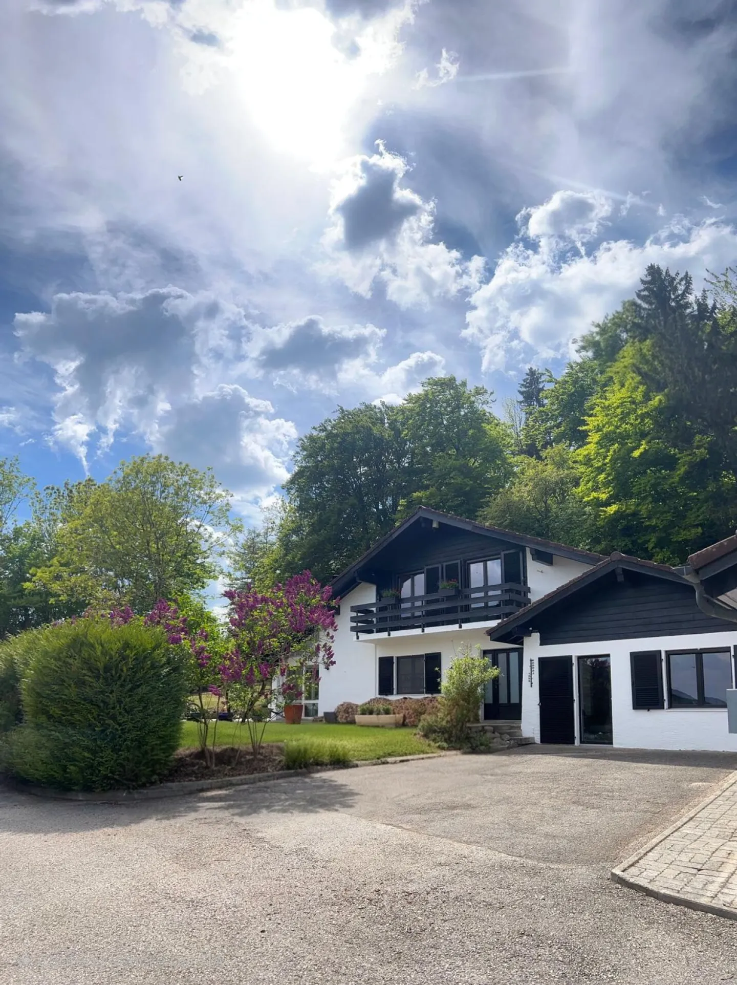 Magnificent individual villa with 4 rooms 1/2 and independent studio on a very beautiful plot of 1,240 m2 - Photo 2 of 17