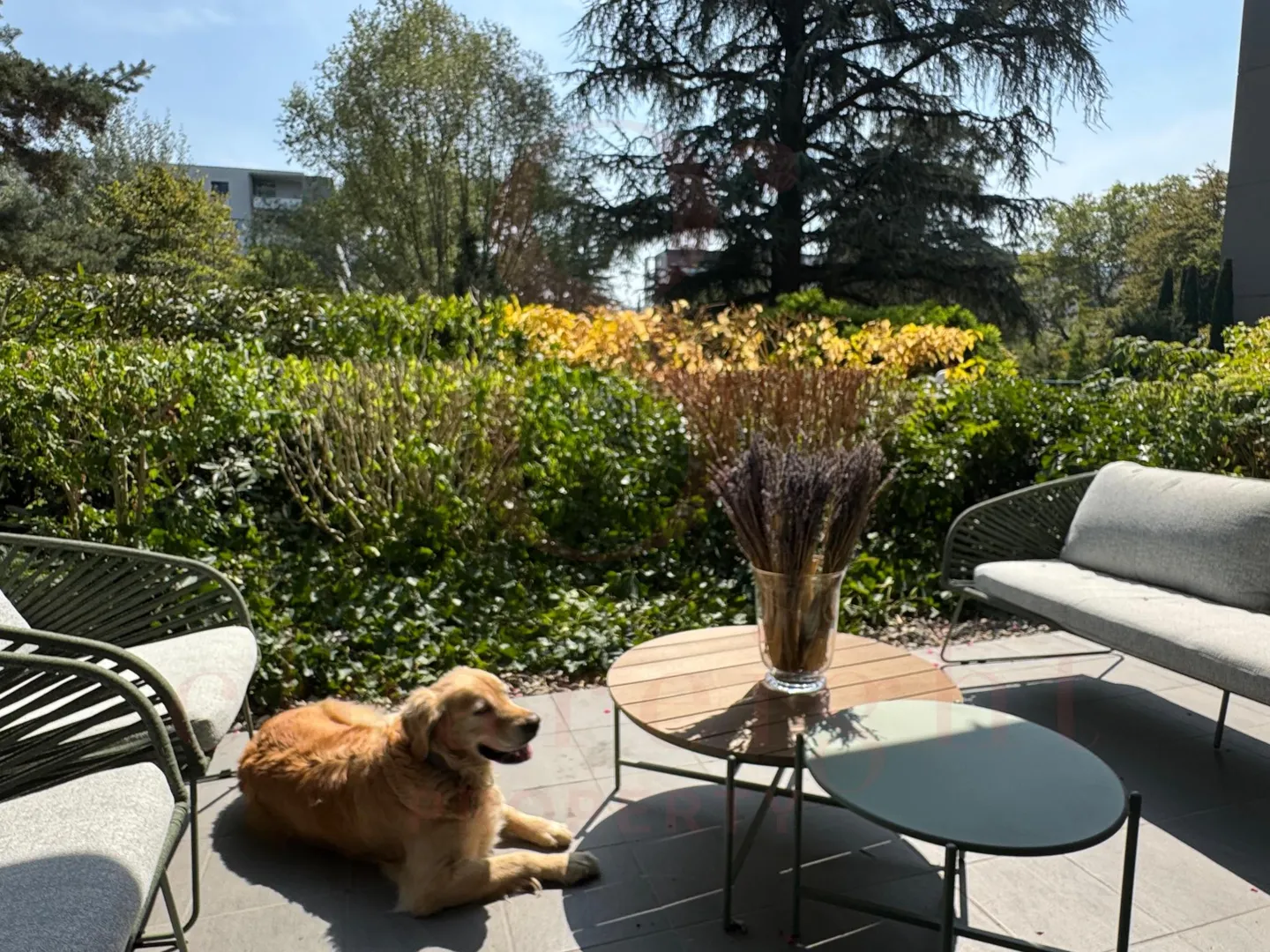 Superb high-end apartment - Photo 4 of 4