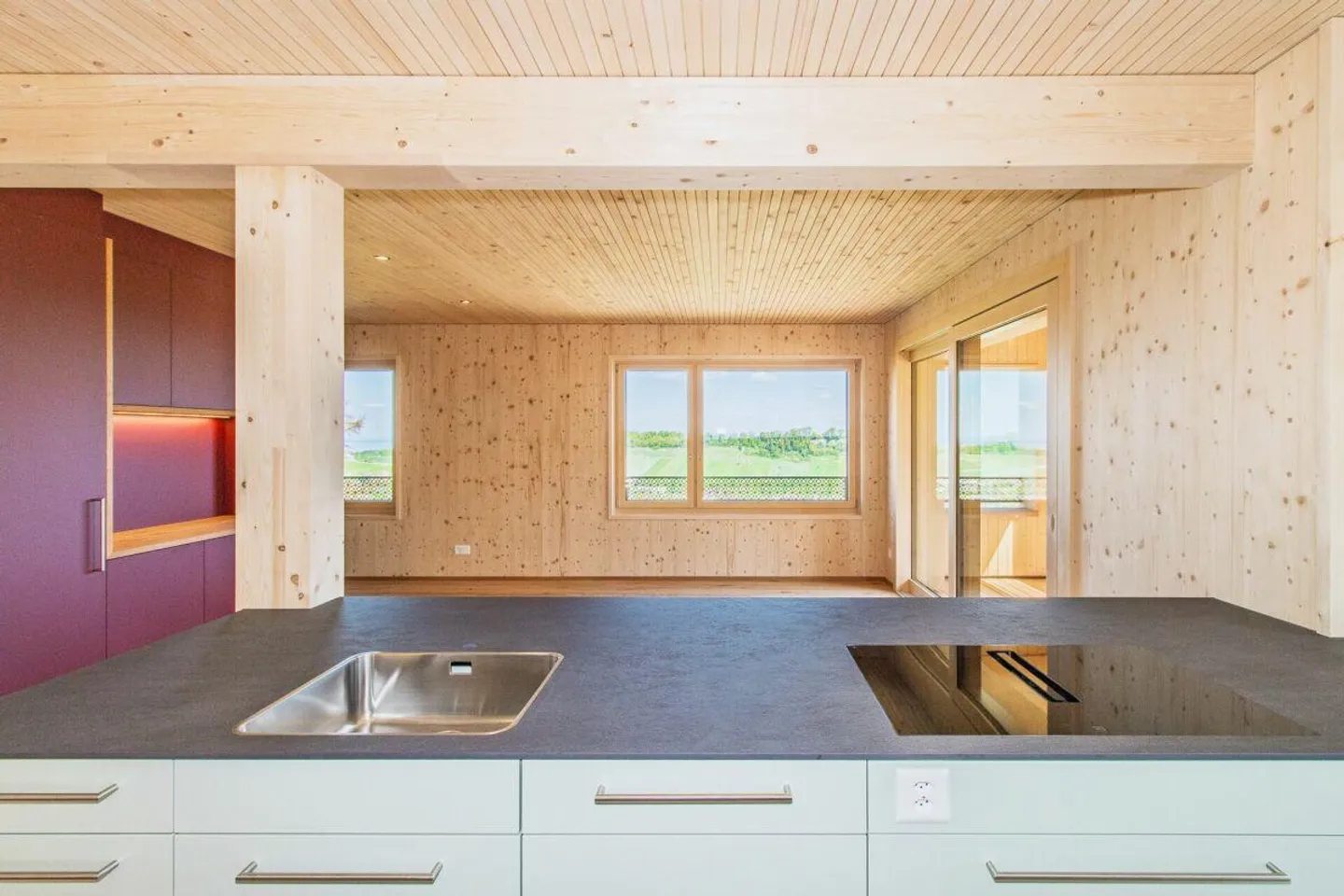 HAUFEN 145 - Appartamento 3.5 locali al piano terra con vista mozzafiato - Foto 7 di 14