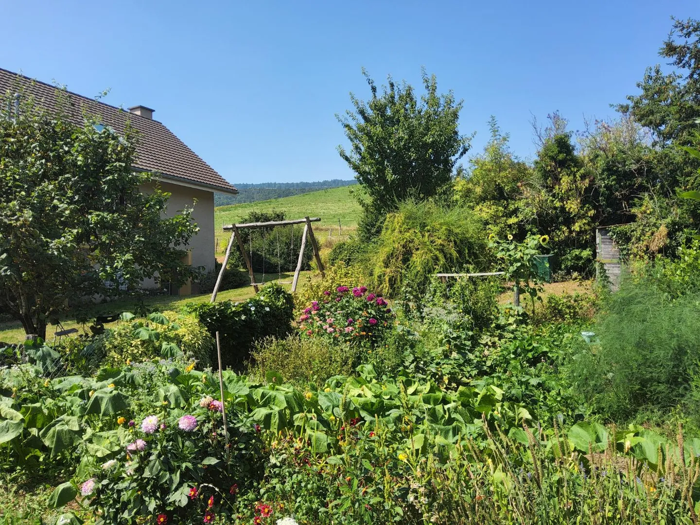 7-Zimmer-Haus - Foto 15 von 19