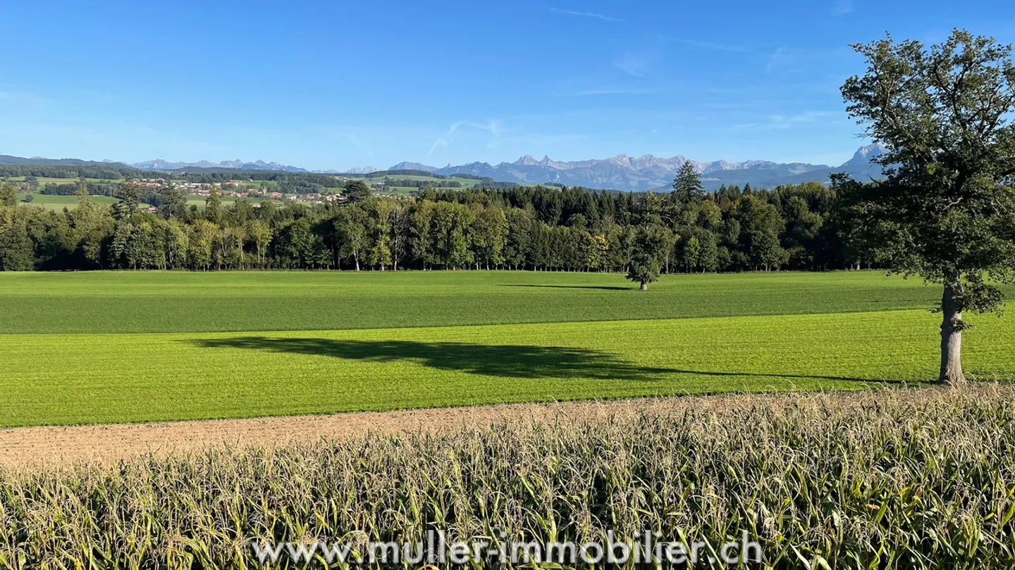 Nouvelle promotion de 4 villas individuelles - Photo 8 sur 12