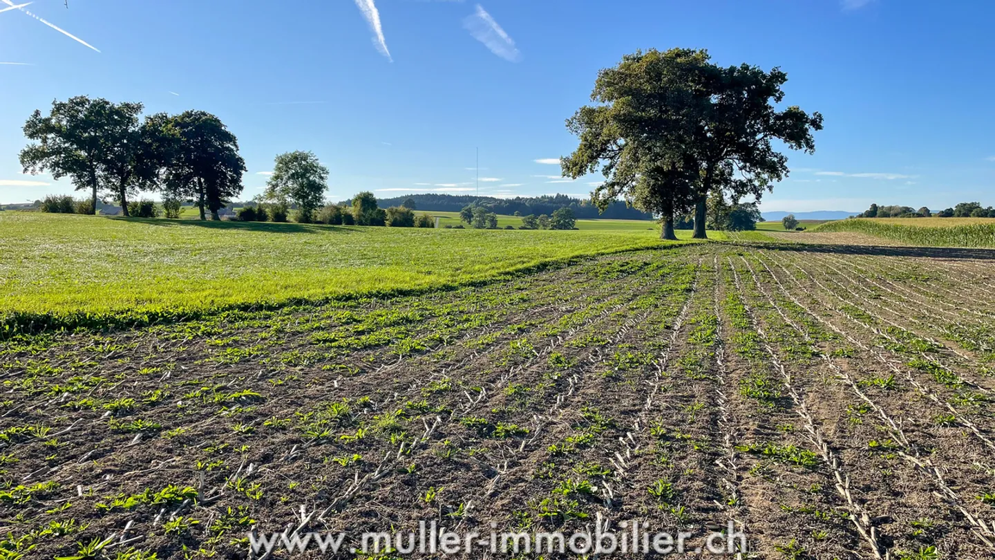 Nouvelle promotion de 4 villas individuelles - Photo 10 sur 12