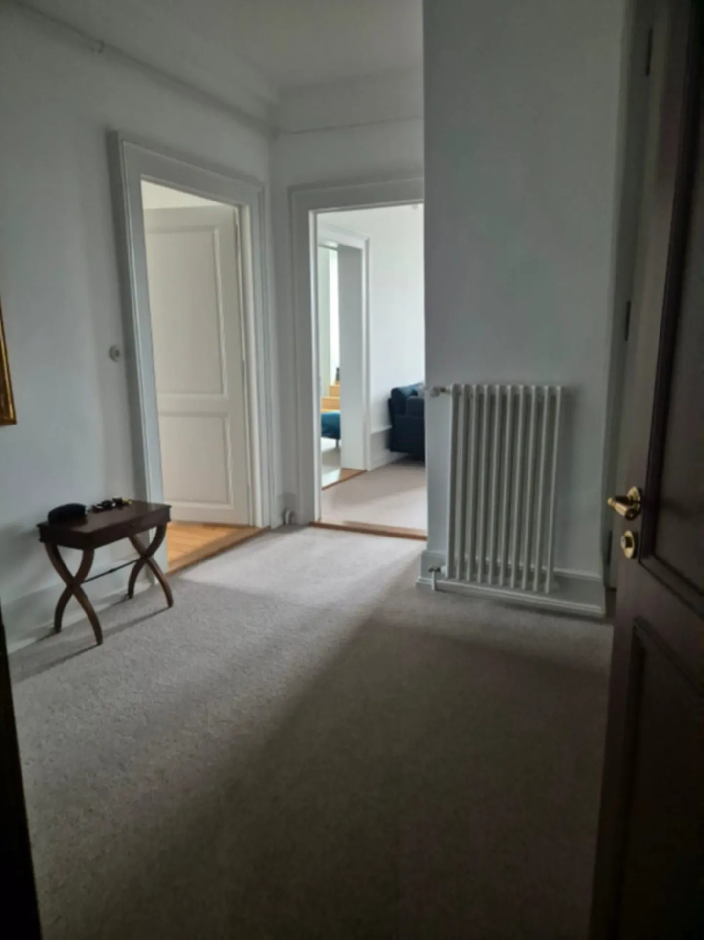 APPARTAMENTO 3 STANZE A VEVEY (VD), ARREDATO - Foto 3 di 9