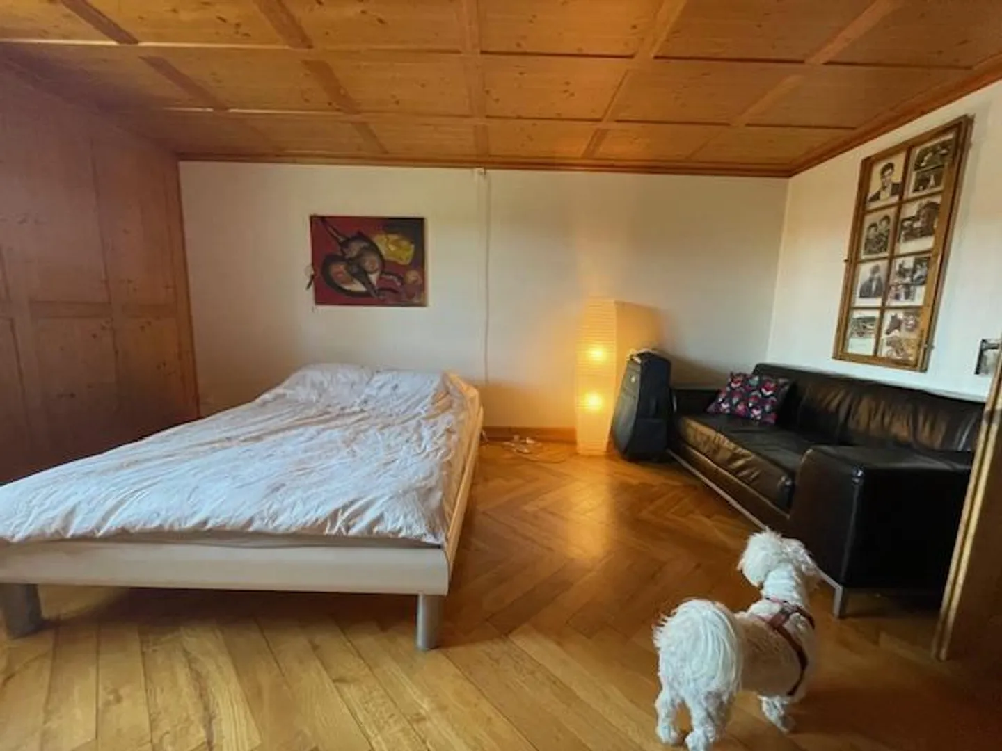 Appartamento arredato di 3 stanze per individualisti - Foto 3 di 10