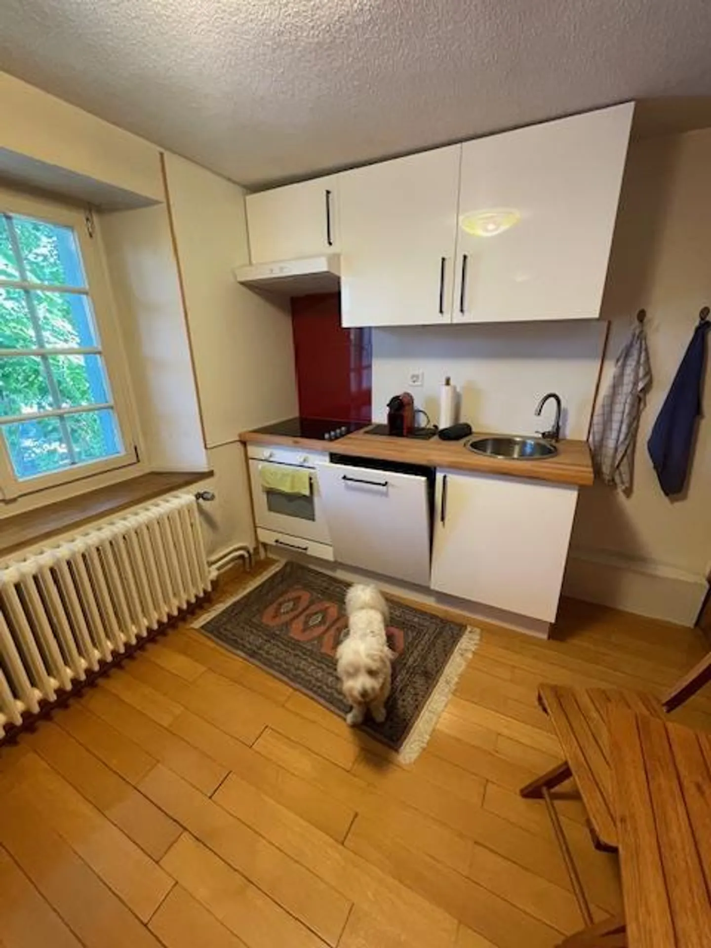 Appartamento arredato di 3 stanze per individualisti - Foto 10 di 10