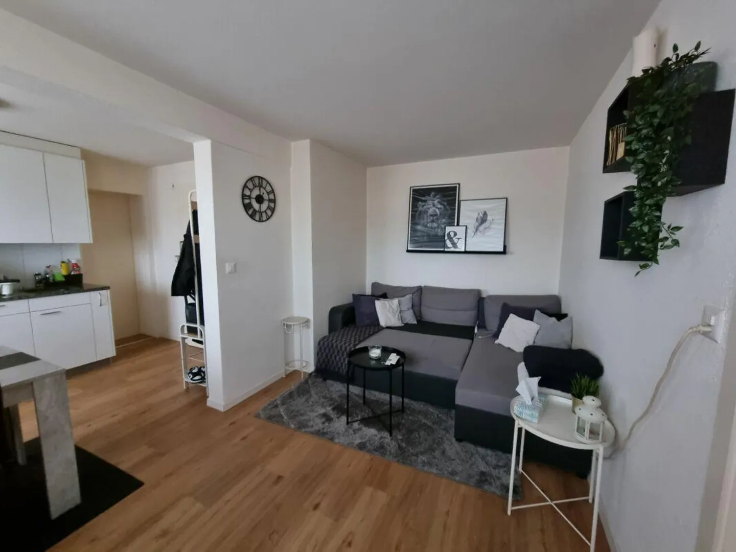 Appartamento di 2 stanze cerca nuovo inquilino - Foto 2 di 7