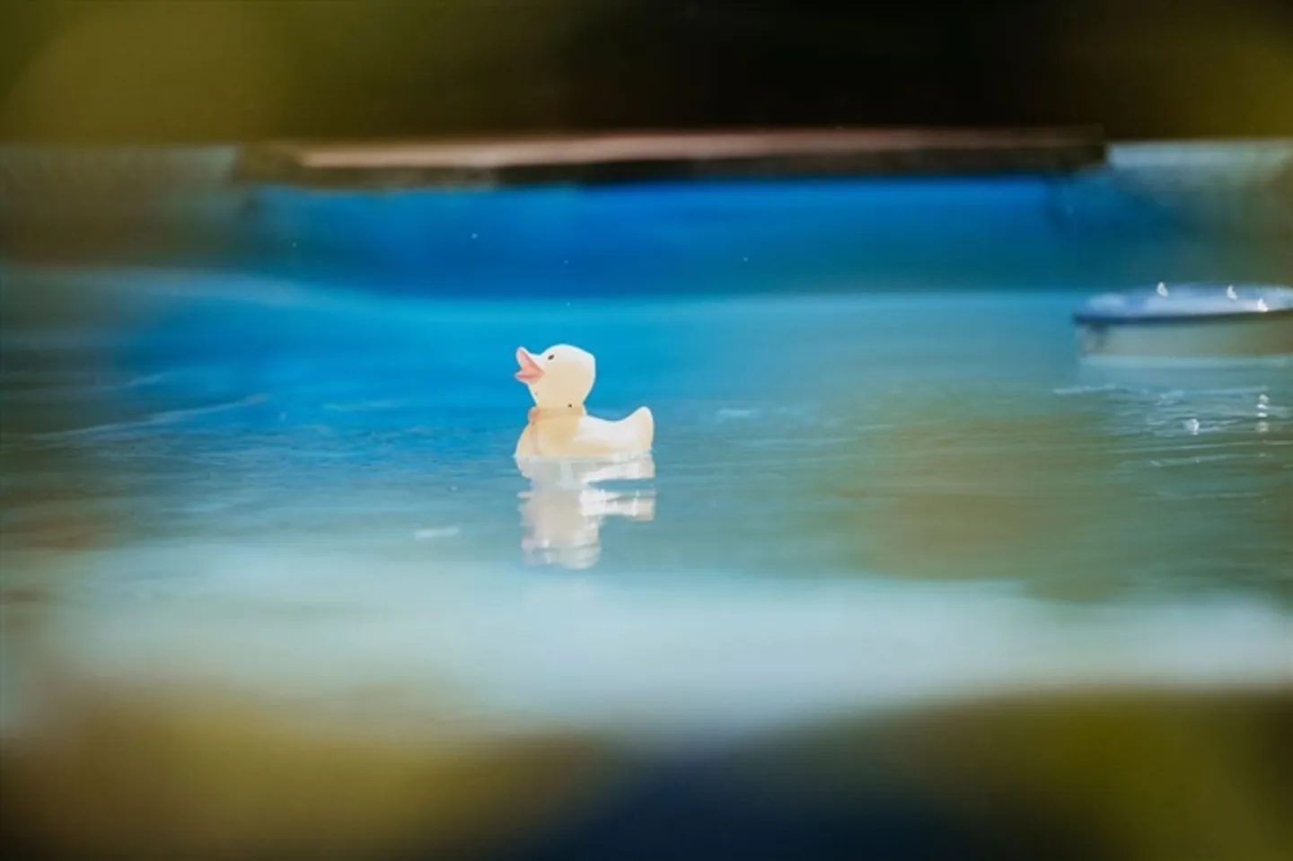 Affascinante casa unifamiliare di 9 stanze con piscina a Schönenbaumgarten - Foto 2 di 13