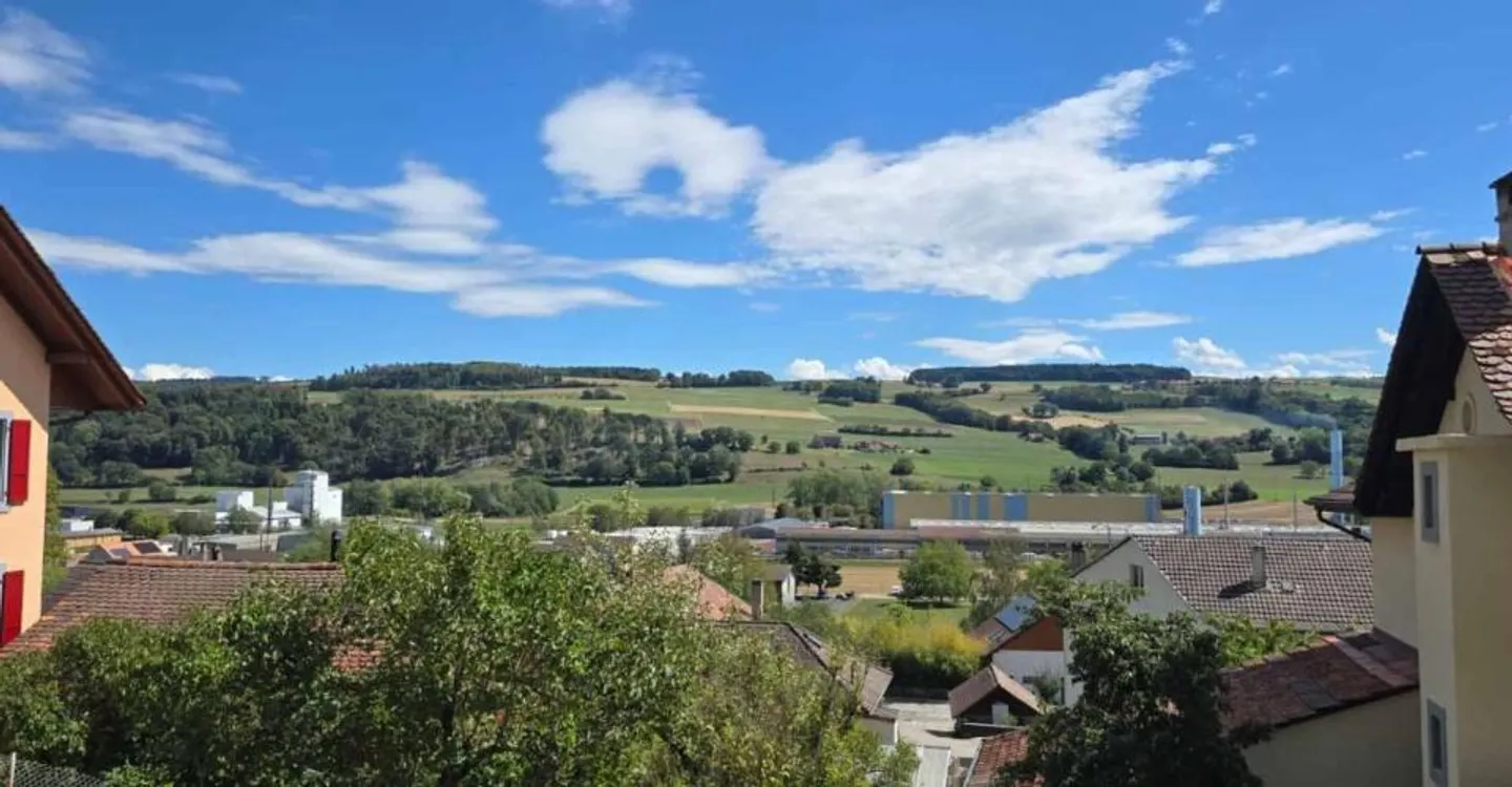 Prime Development Land in Lucens - Photo 2 of 13