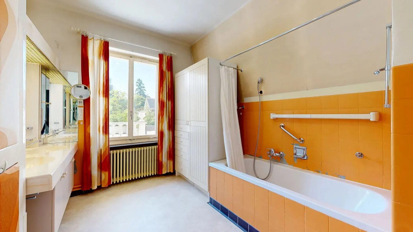 Manor House with Medical Practice and Swimming Pool in a Preferred Location - Photo 17 of 29