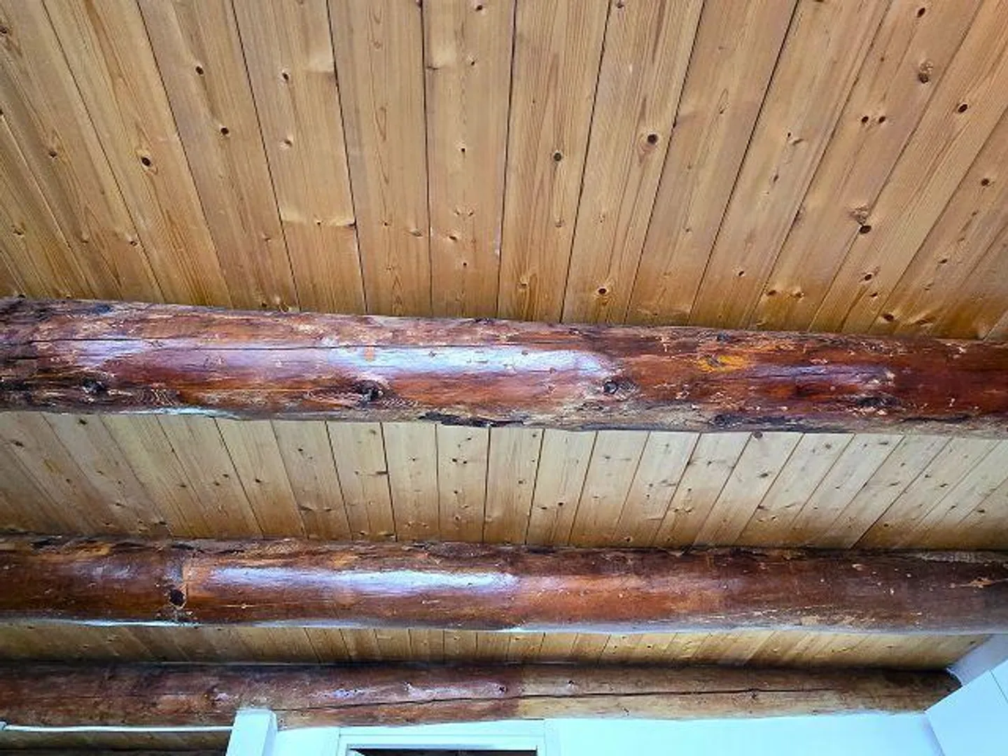 Rustique avec 2 appartements (2 et 3 pièces avec terrasses et belle vue) - Photo 18 sur 34