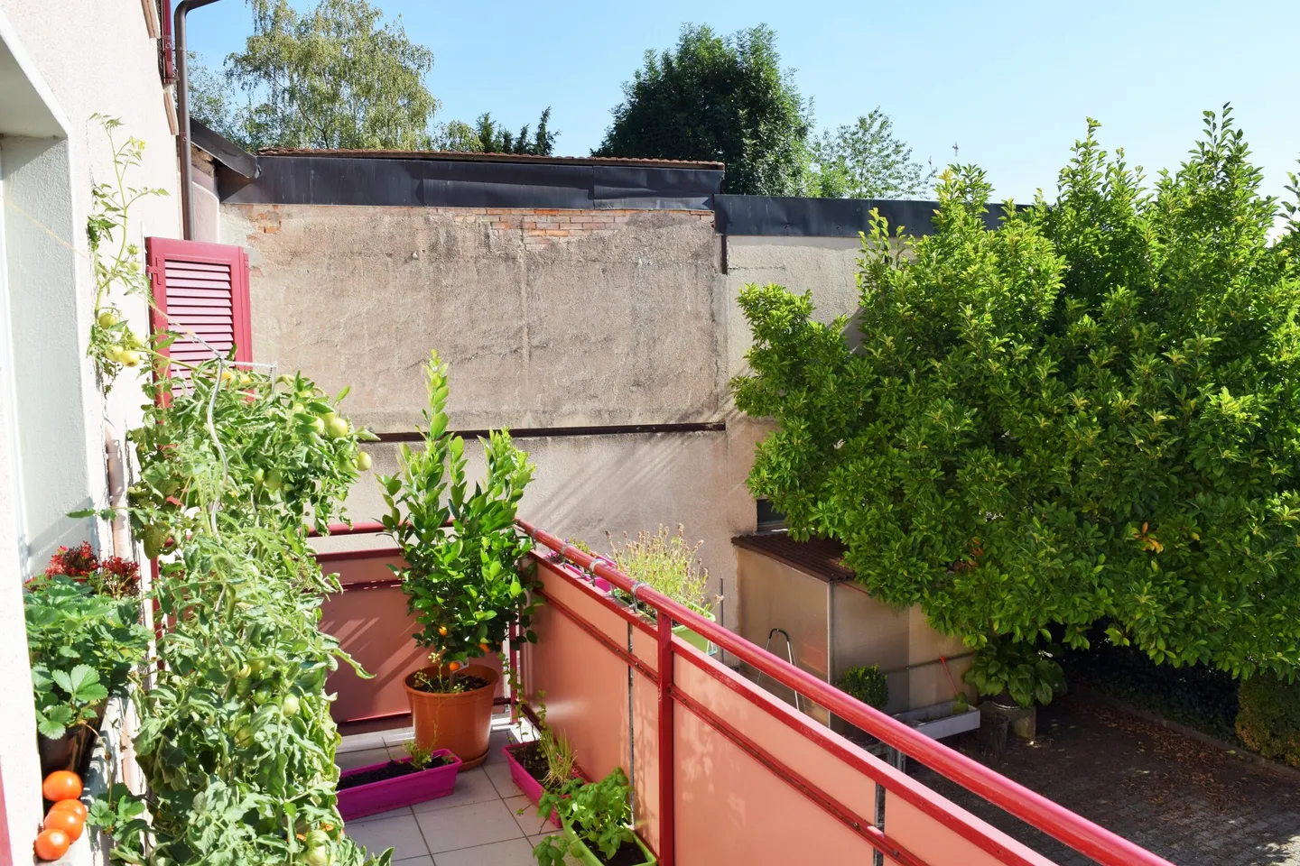 Mixed-use building for sale - Photo 2 of 13