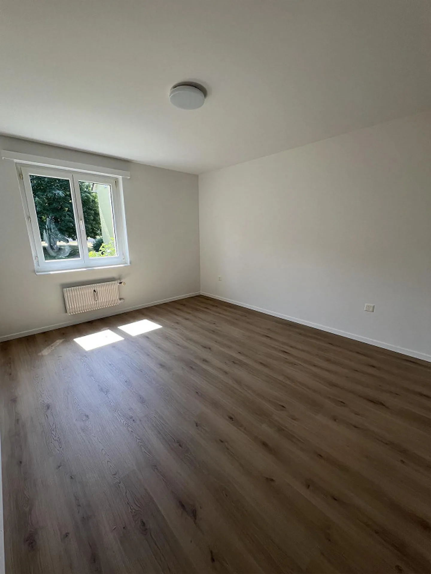 Opportunity! Quiet and affordable! 2-room apartment on the 1st floor - Photo 4 of 6