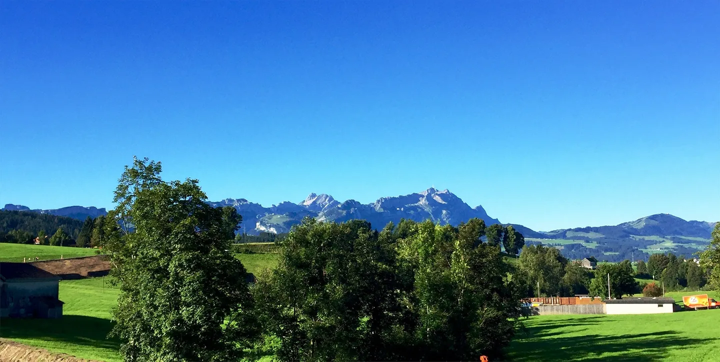 Bright 2 1/2 Room Loft Apartment (Left) - Photo 2 of 6