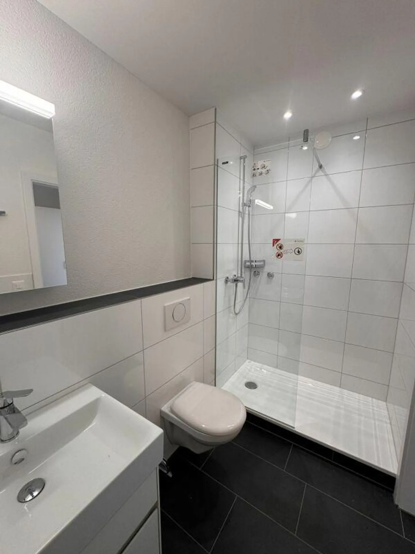 Appartement rénové de 3,5 pièces avec deux balcons à Schwabgut - Photo 4 sur 10