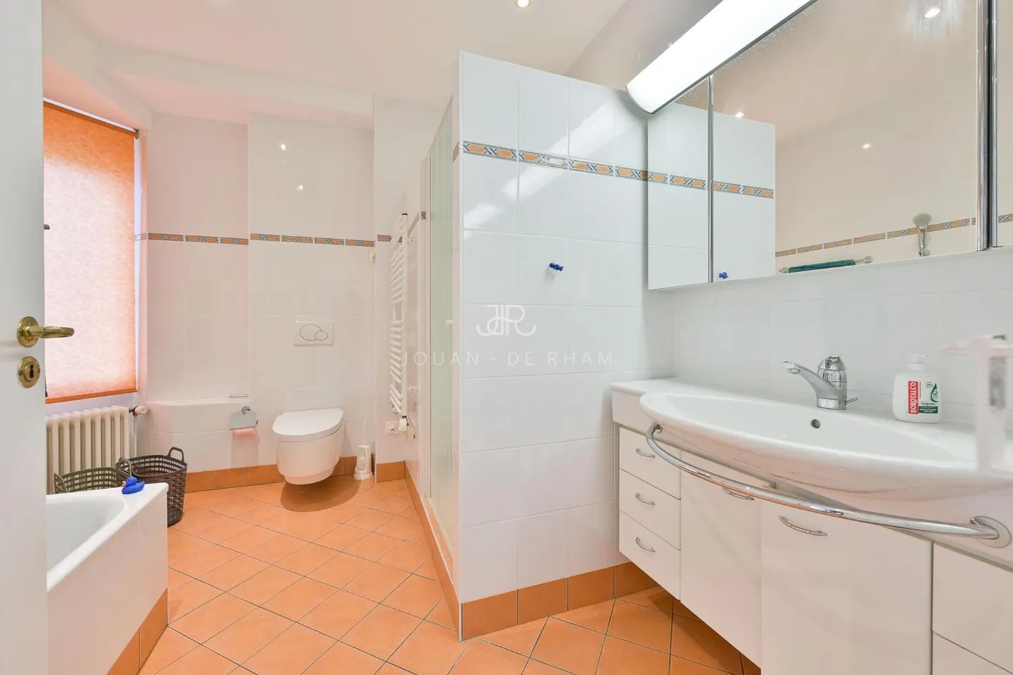 Lease takeover - Magnificent apartment with lake view - Photo 8 of 13