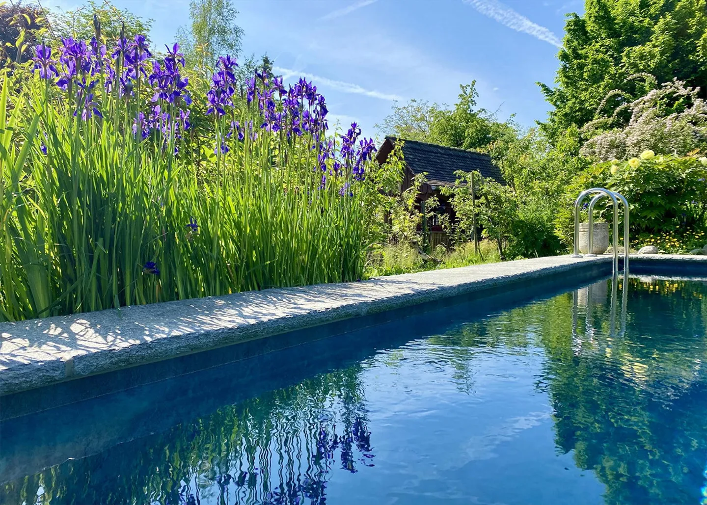 Romantic 5.5-Room Family Home with Dream Garden and Pool - Photo 3 of 14