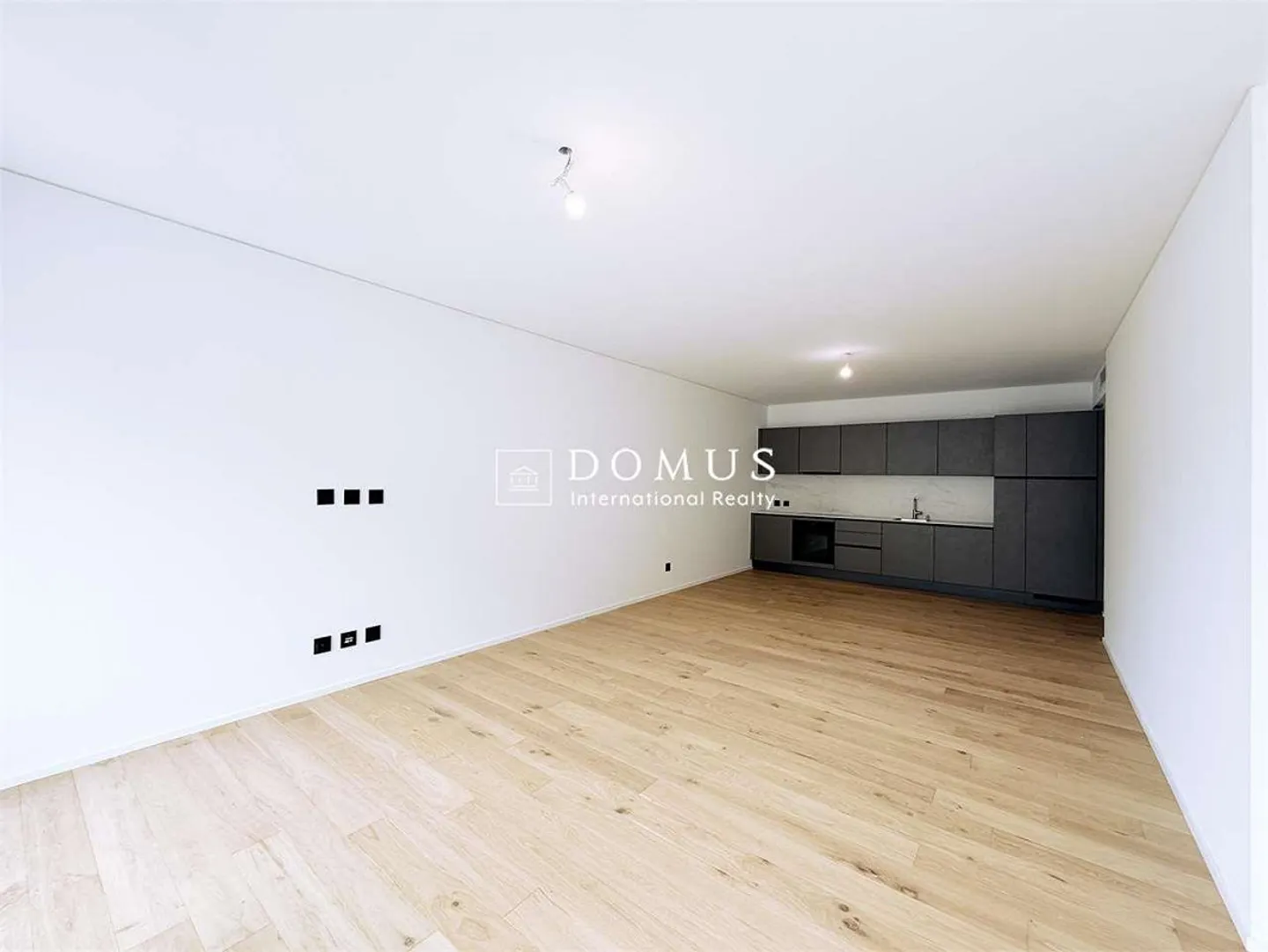 2,5 pièces à vendre à Paradiso - Photo 1 sur 13