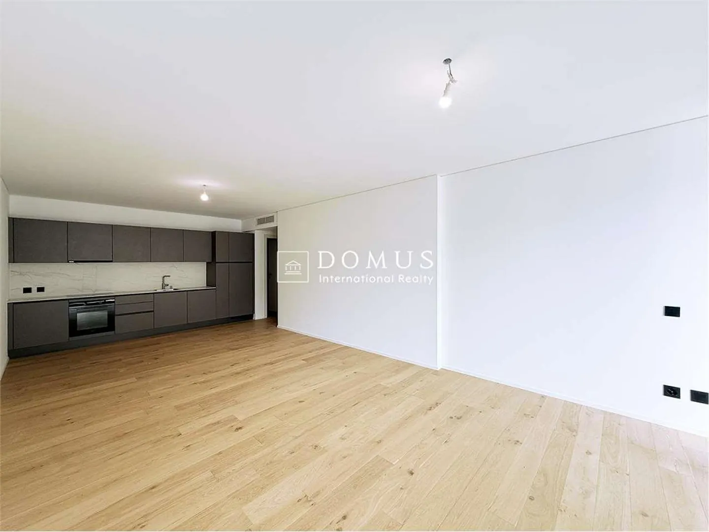 2,5 pièces à vendre à Paradiso - Photo 3 sur 13