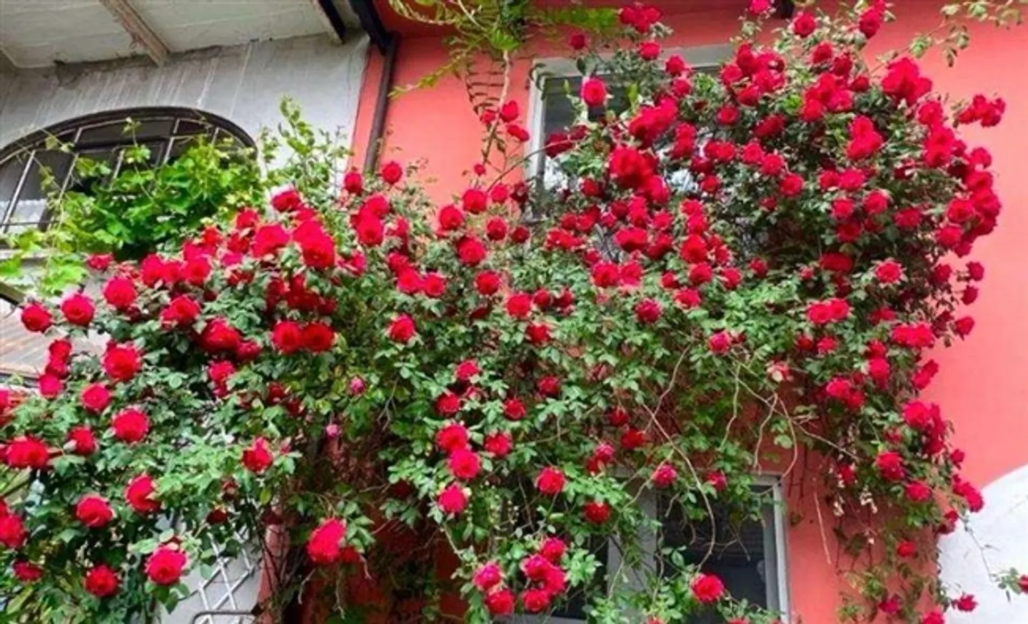 "CRYPTO-FRIENDLY" Casa unifamiliare con giardino e parcheggio - Foto 2 di 12