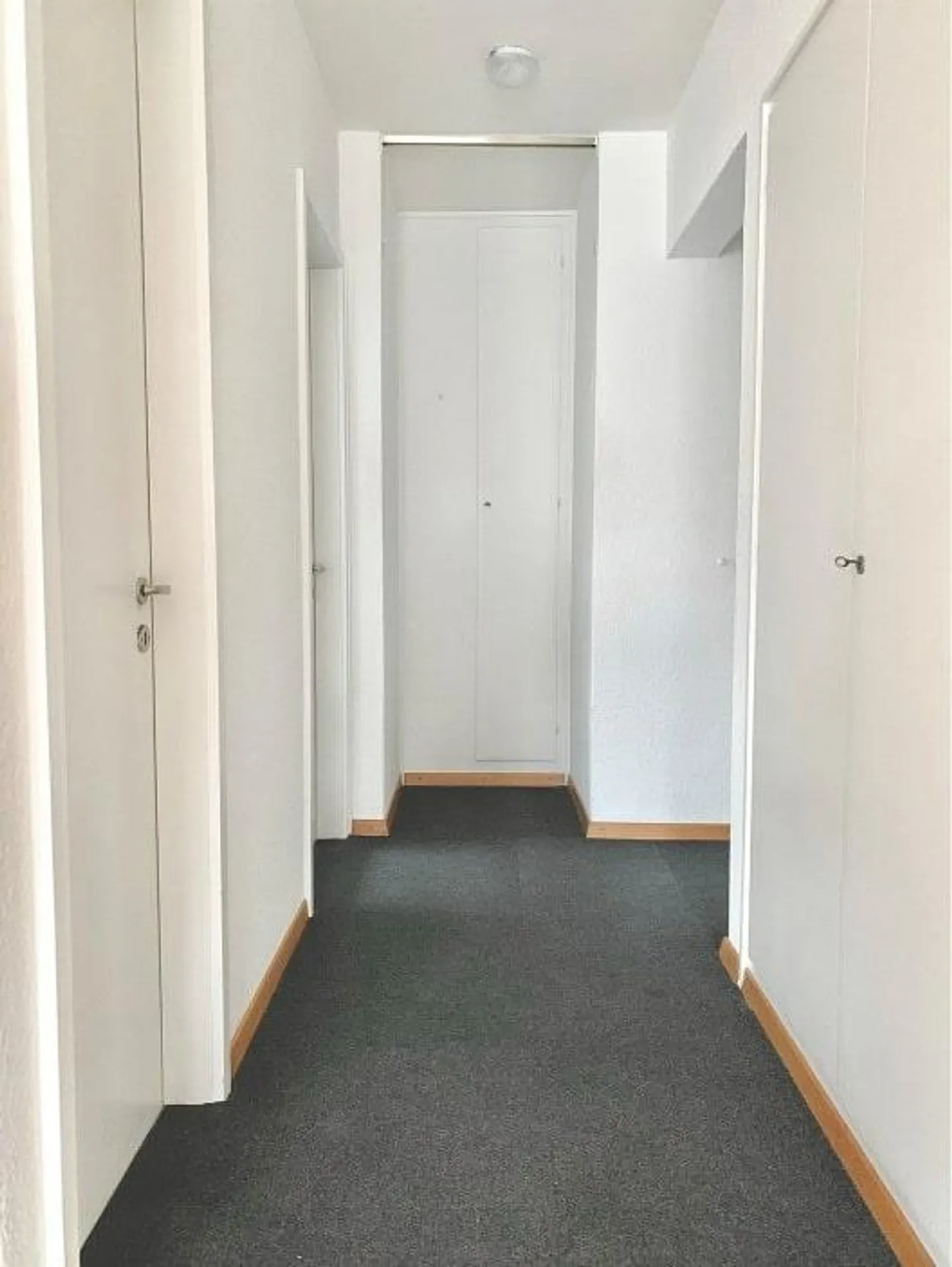 Charmante Single-Wohnung - Foto 5 von 5