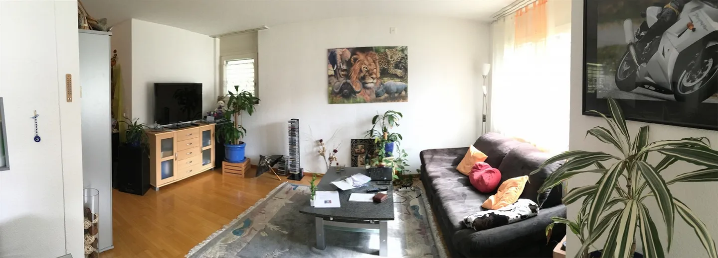 2.5-Room Apartment by the Beautiful Pond - Photo 7 of 12