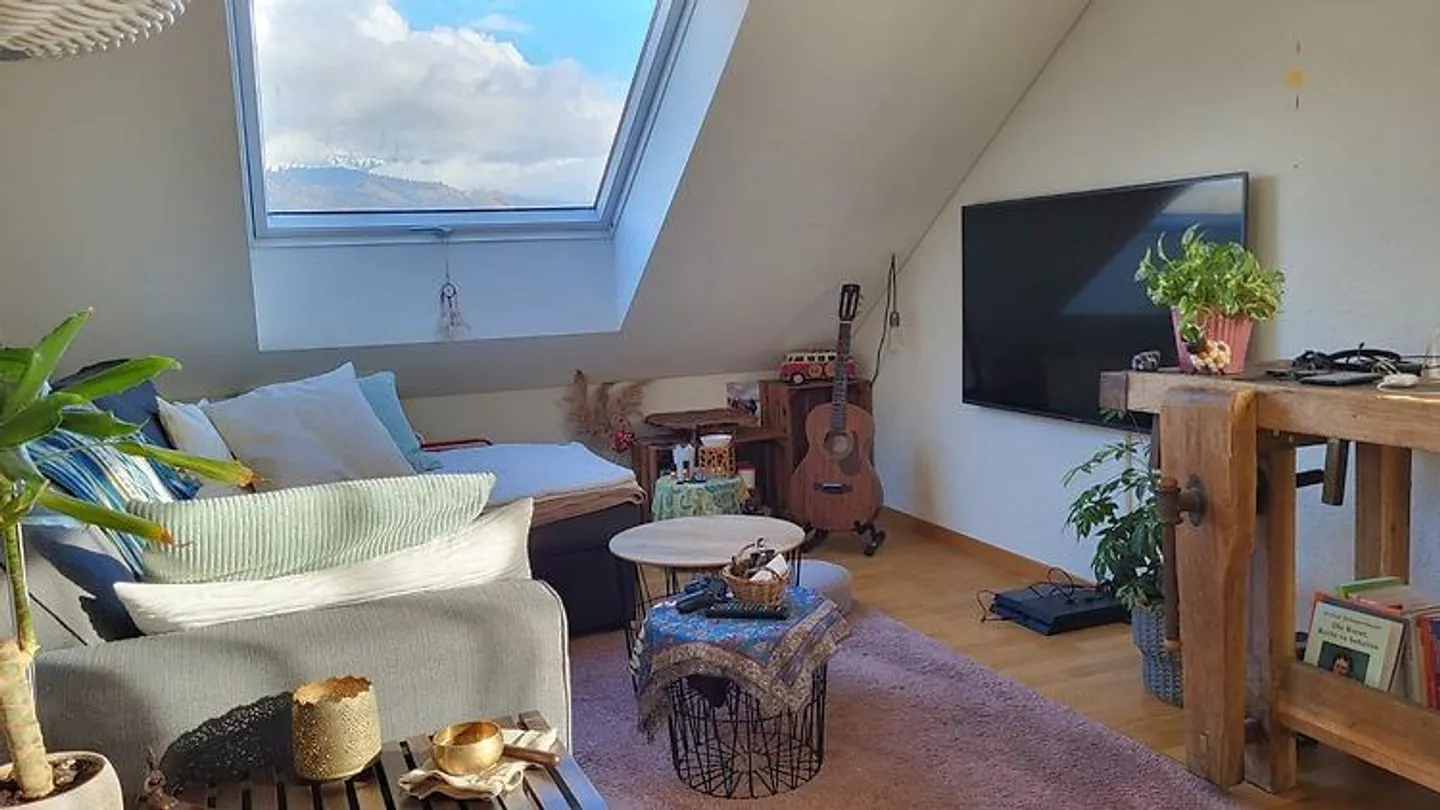 2 ROOM APARTMENT IN THUN (BE), FURNISHED, TEMPORARY - Photo 1 of 8