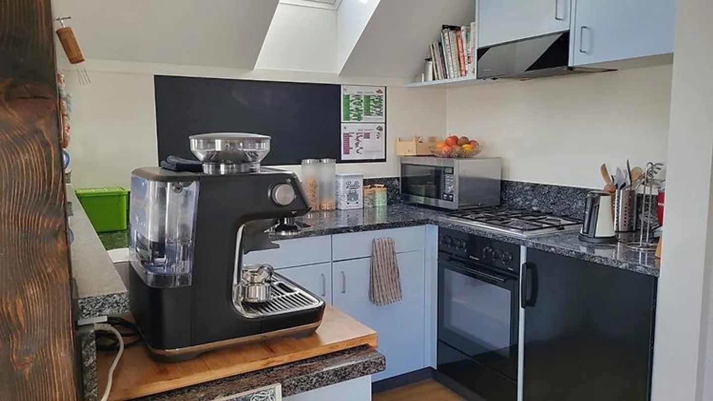 2 ROOM APARTMENT IN THUN (BE), FURNISHED, TEMPORARY - Photo 2 of 8