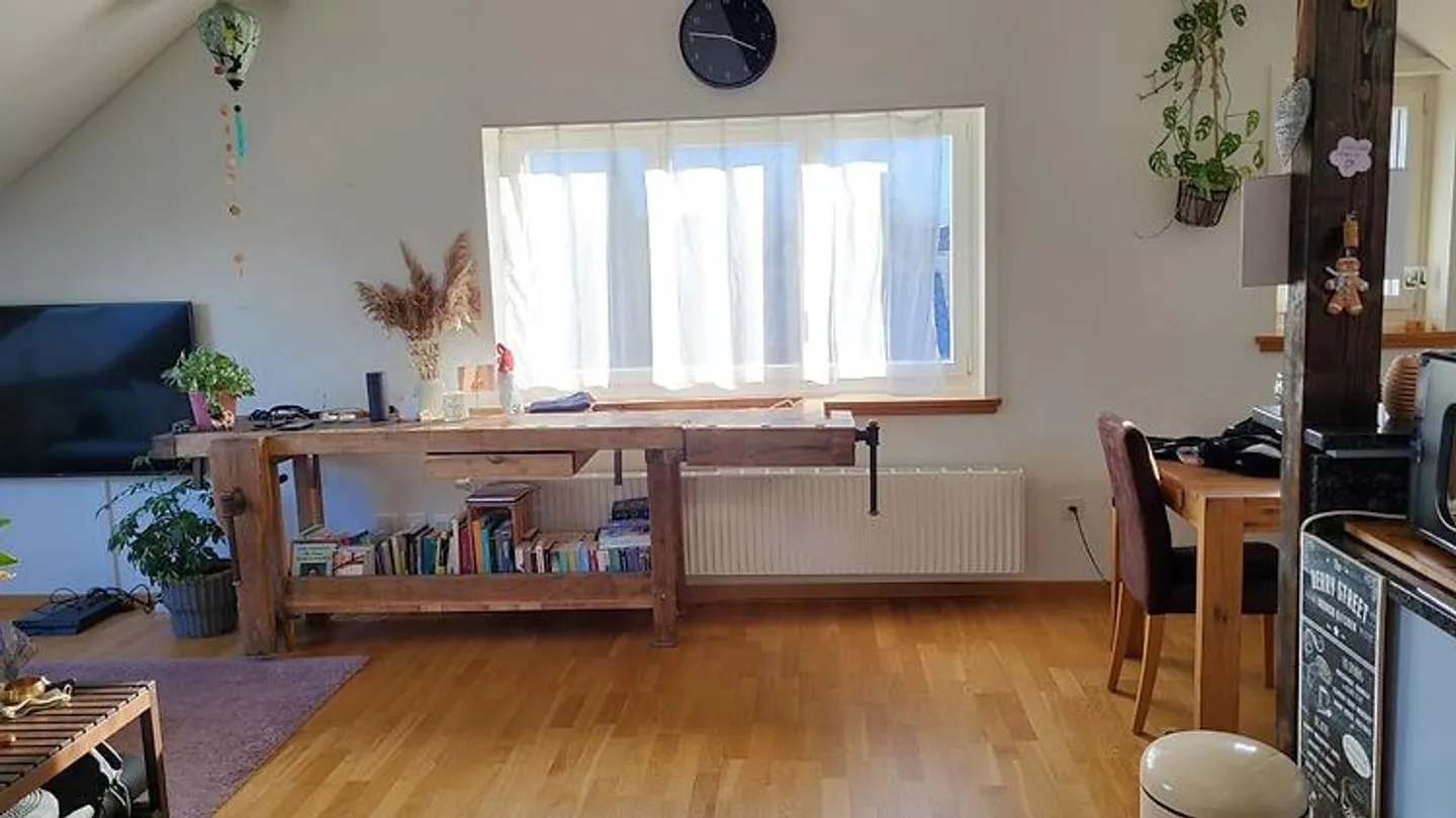 2 ROOM APARTMENT IN THUN (BE), FURNISHED, TEMPORARY - Photo 3 of 8