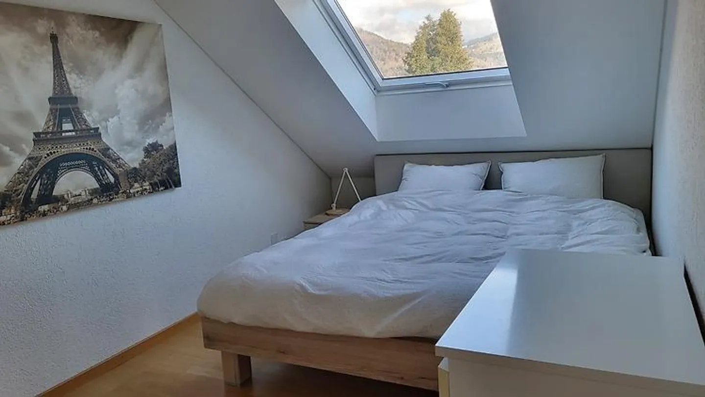2 ROOM APARTMENT IN THUN (BE), FURNISHED, TEMPORARY - Photo 6 of 8