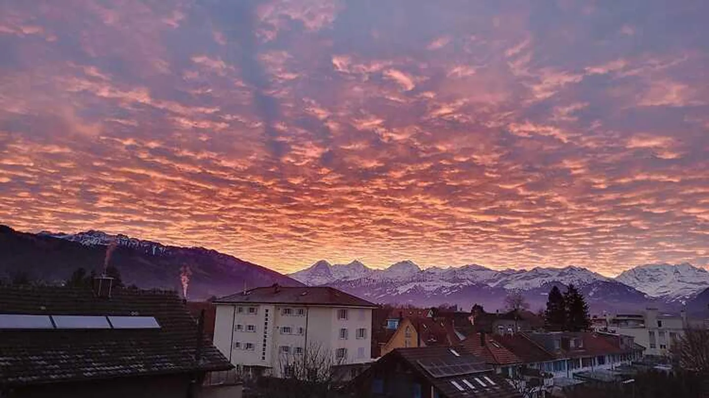2 ROOM APARTMENT IN THUN (BE), FURNISHED, TEMPORARY - Photo 8 of 8
