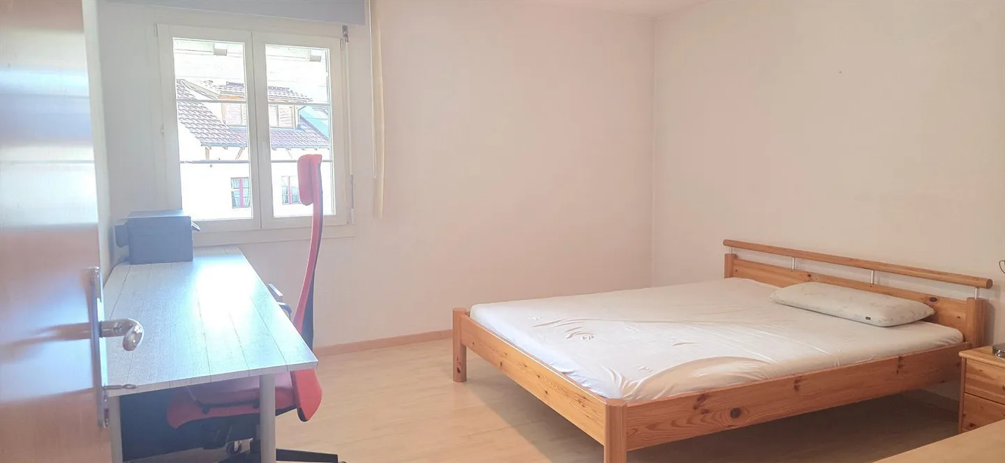 Ampio appartamento di 5,5 stanze con balcone + bella vista a - Foto 7 di 19