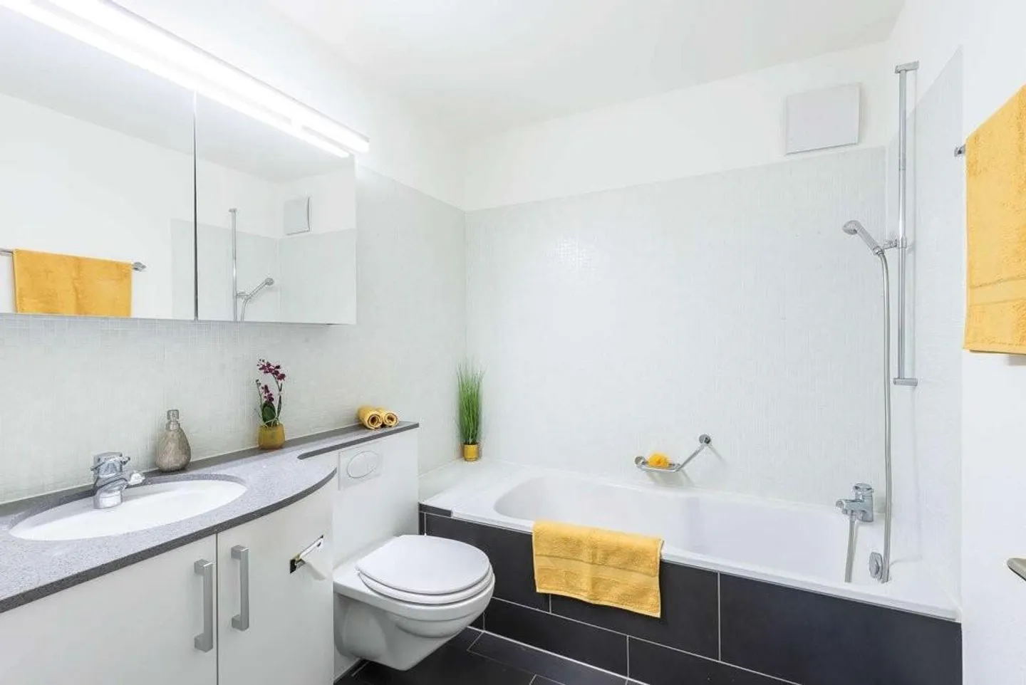 Modern apartment near Spalentor - Photo 4 of 5