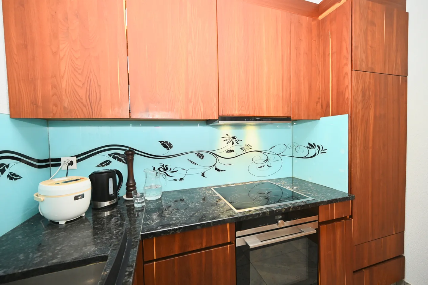 Apartment with lake view - Primary or Secondary Residence - Photo 5 of 6