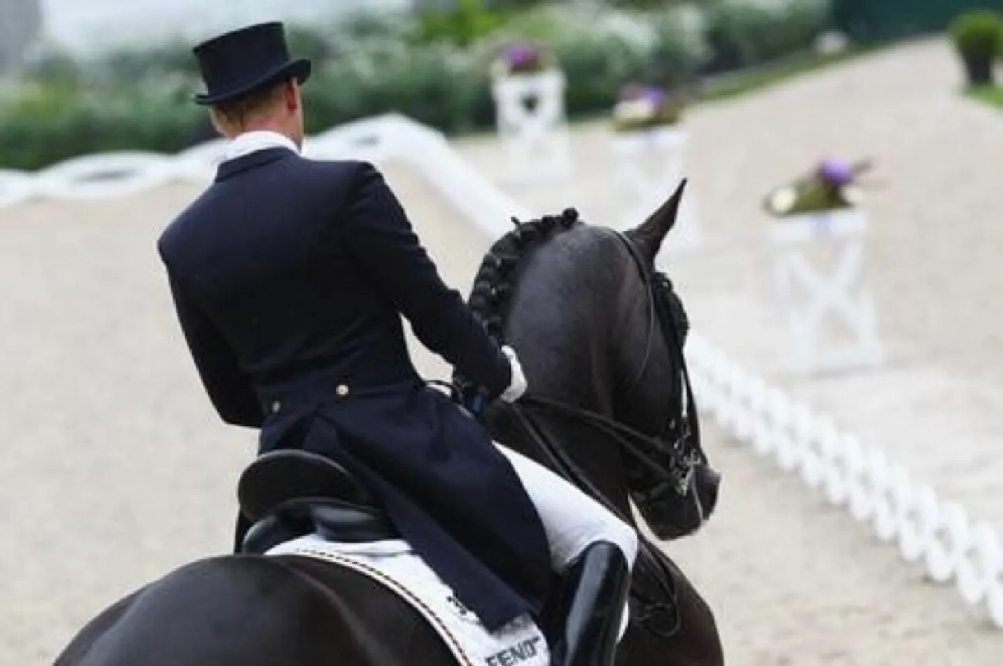 «Reitsportimmobilie mit Wohnhaus und Studio» - Foto 2 von 6