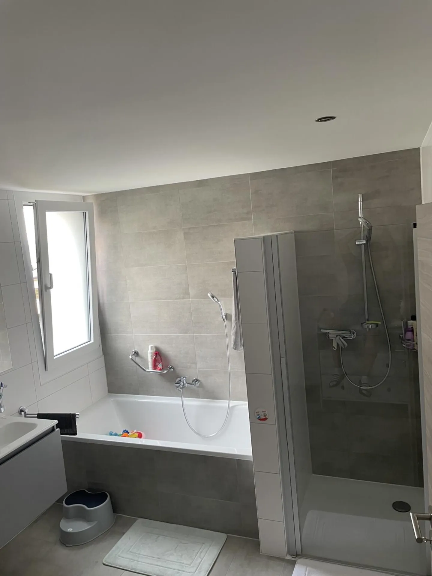 View, Garden and Comfort: Family Home in Le Pâquier - Photo 5 of 9