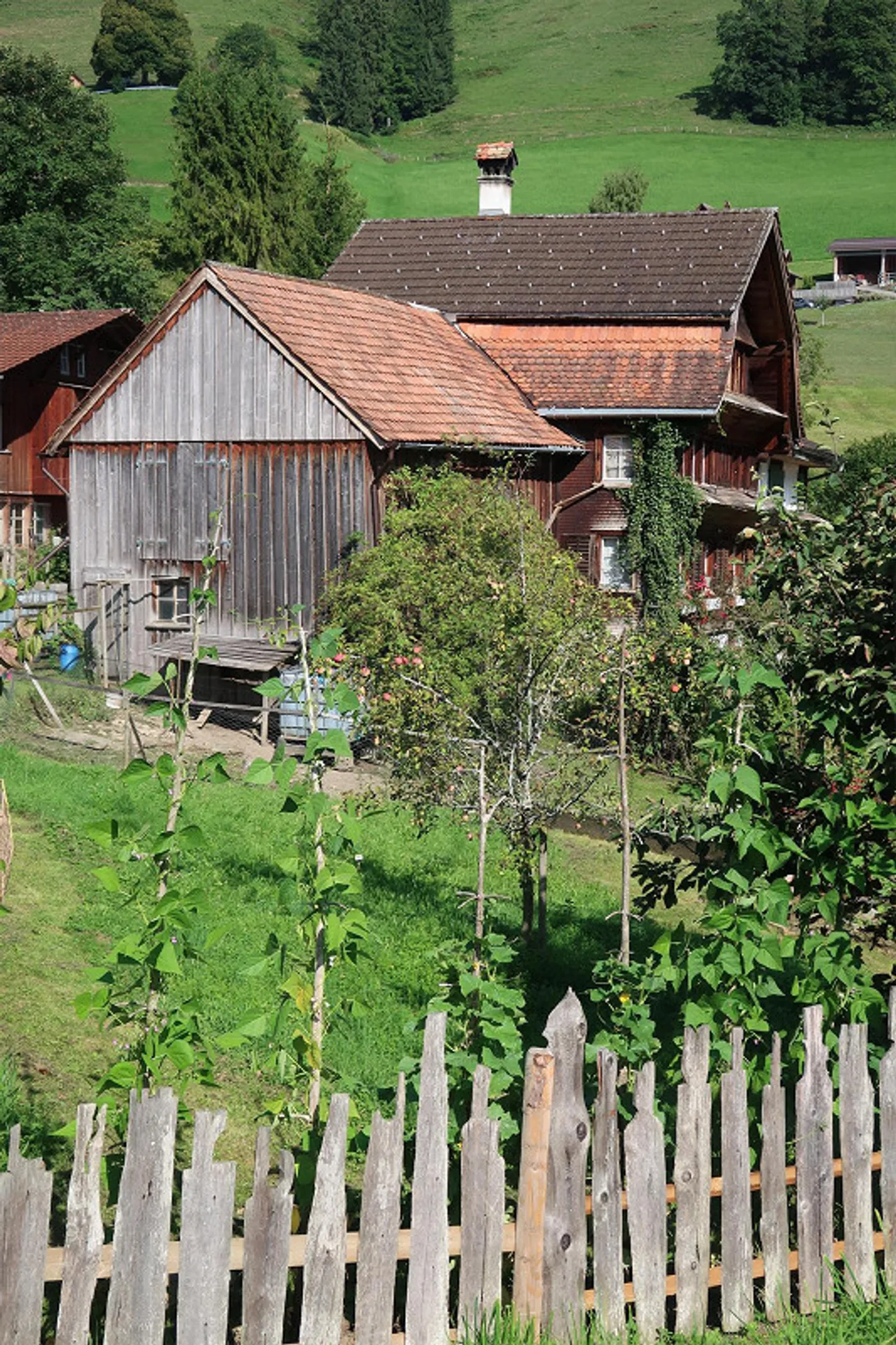 Traditionelles Wohnhaus mit Einliegerwohnung und Schopfanbau - Foto 5 von 20