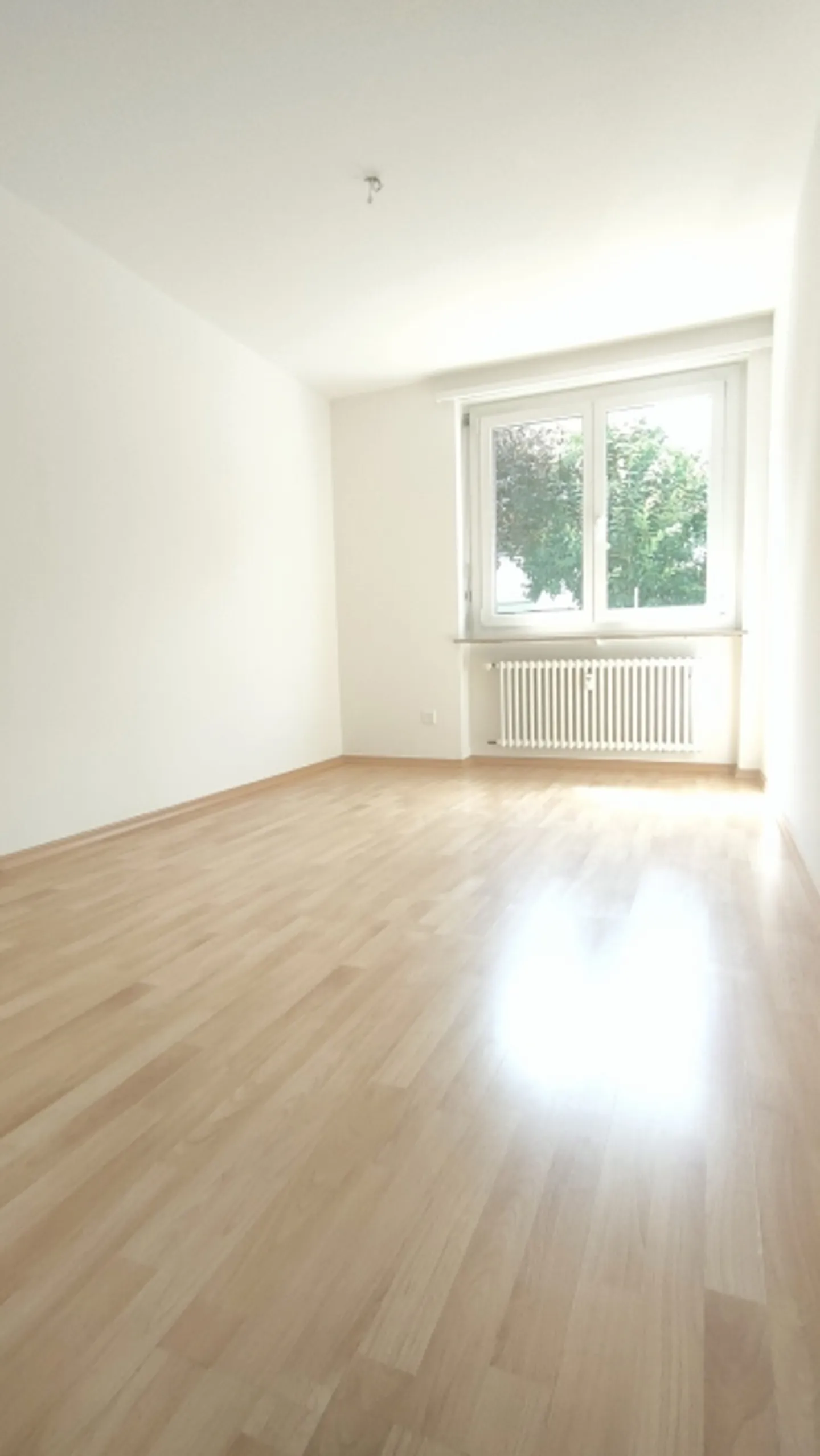 Charmante Wohnung in Aesch - Foto 6 von 8