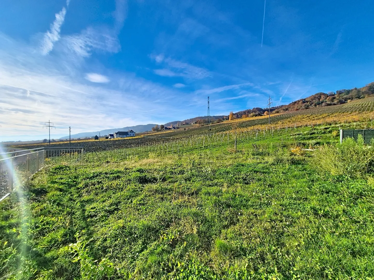 Three and a Half Room Triplex with Beautiful Garden - Photo 8 of 13