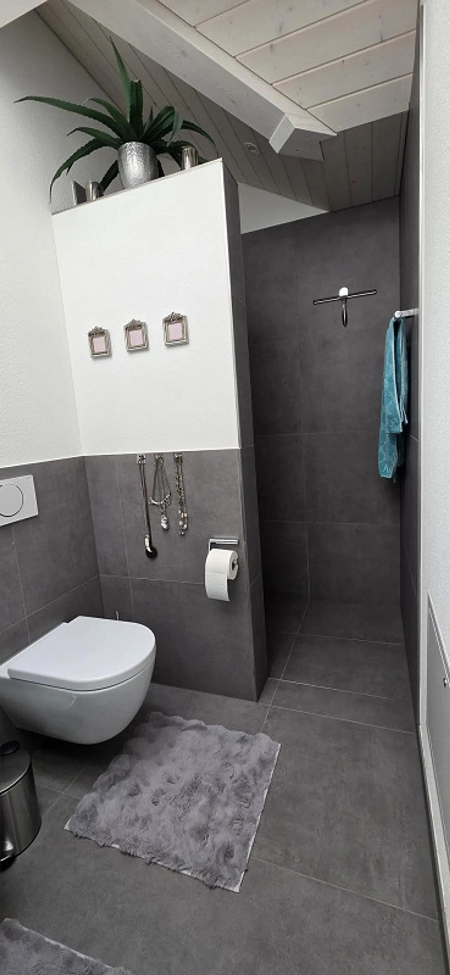 Traumhafte Dachwohnung mit Weitsicht auf den Hallwiler See - Foto 5 von 8