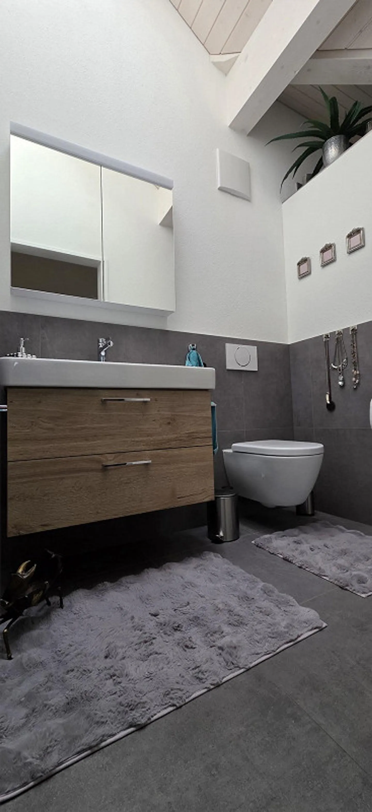 Traumhafte Dachwohnung mit Weitsicht auf den Hallwiler See - Foto 6 von 8