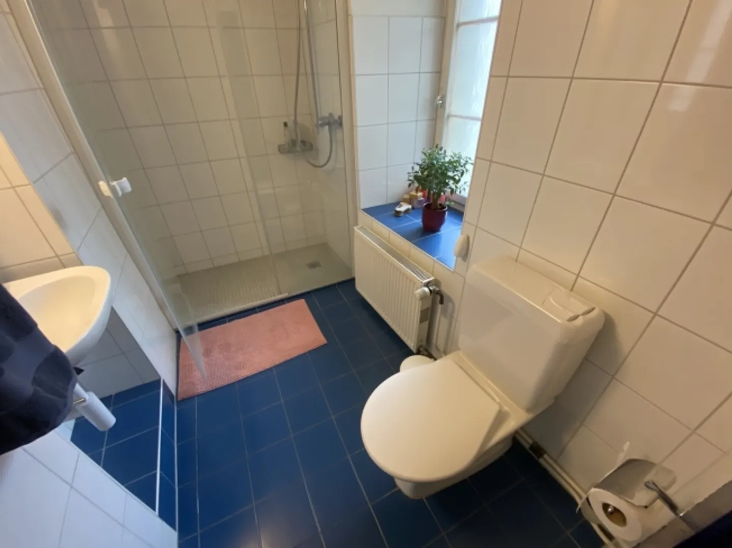 Gebäude mit 3 Wohnungen und einer Gewerbefläche. - Foto 3 von 8