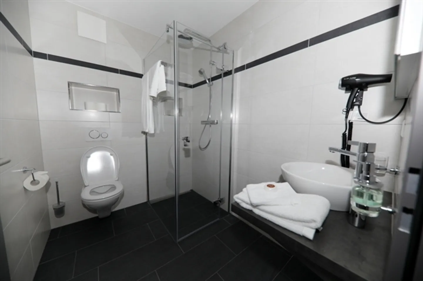 1 ROOM APARTMENT IN REICHENBURG (SZ), FURNISHED - Photo 6 of 7