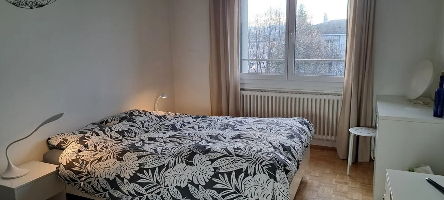 Bell'appartamento di 2,5 stanze - Foto 4 di 5