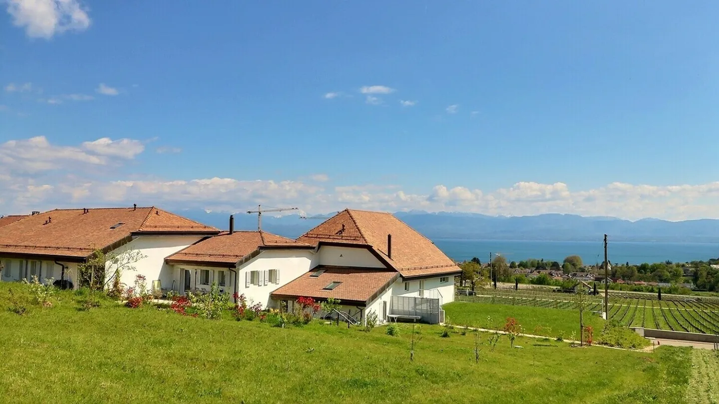 Renovated duplex apartment with lake view near Rolle - Photo 10 of 11