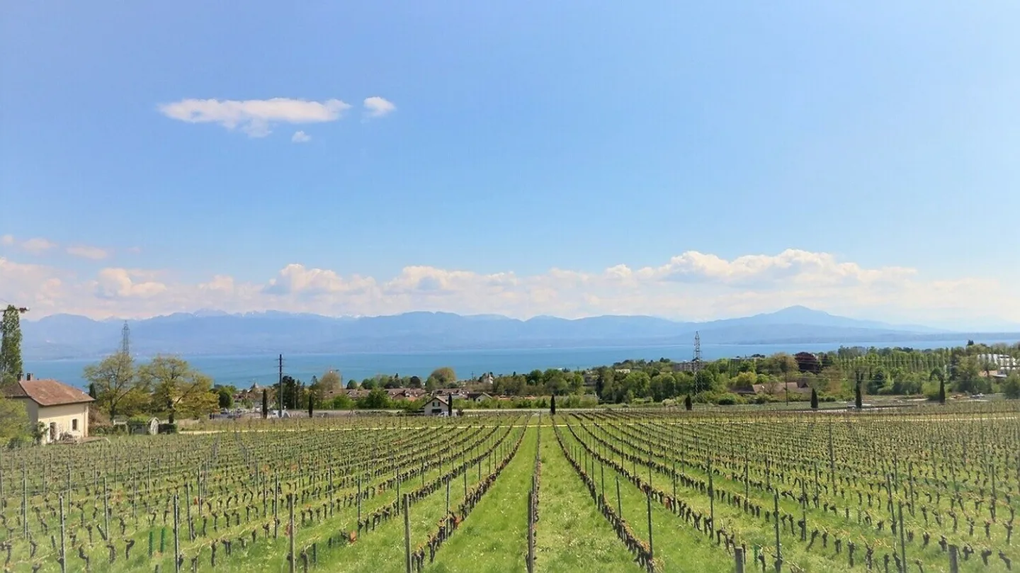 Renovated duplex apartment with lake view near Rolle - Photo 11 of 11